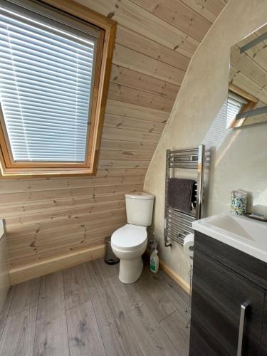 a bathroom with a toilet and a sink and a window at Rabbit Glamping Pod School House Farm in Leighton