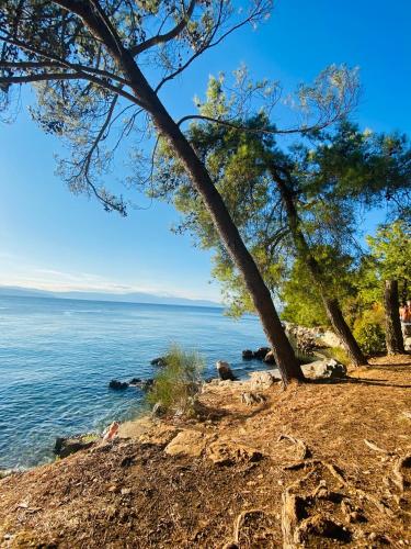 Gallery image of Apartment Dida i Mara in Malinska