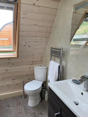 a bathroom with a toilet and a sink at Hedgehog Glamping Pod School House Farm in Leighton