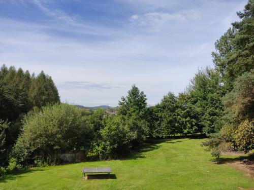 a bench in the middle of a field with trees at Pension Bachlhof in Fürsteneck