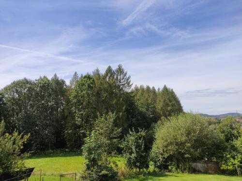 um campo com árvores e um céu azul em Pension Bachlhof em Fürsteneck