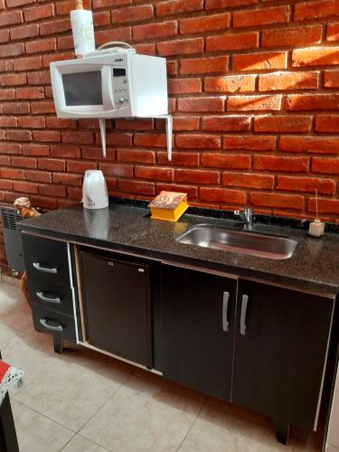 eine Küchentheke mit einer Spüle und einer Mikrowelle in der Unterkunft POSADA DE KARMEL in Maipú
