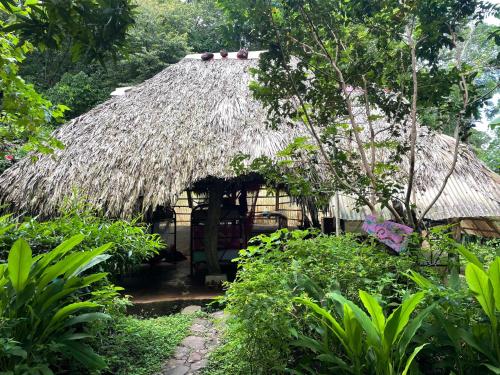 a hut with a thatched roof in a garden at El Zopilote in Balgue