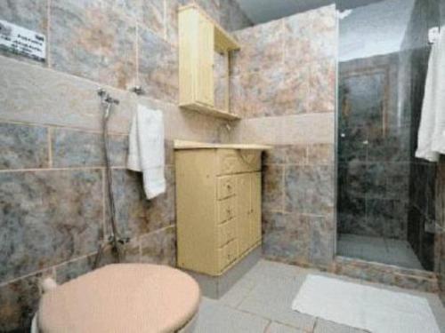 ein Bad mit einem Waschbecken, einem WC und einer Dusche in der Unterkunft Pousada A Marca do Faraó in Cachoeiras de Macacu