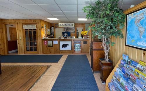 Zimmer mit Holzwänden und einem blauen Teppich in der Unterkunft Bucksport Inn in Bucksport