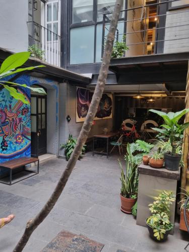 a palm tree in front of a building with plants at Metro Hostal Boutique in Mexico City
