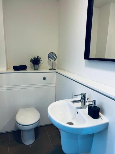 a bathroom with a white toilet and a sink at 2 Bedroom Penthouse Birmingham in Birmingham