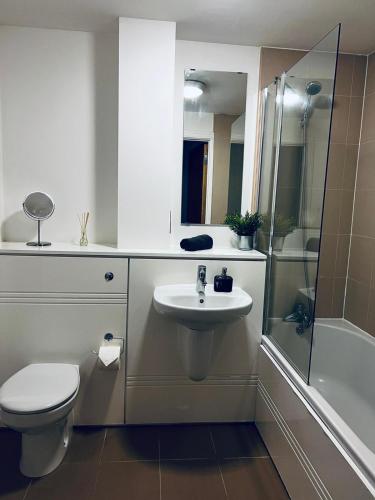 a bathroom with a toilet and a sink and a shower at 2 Bedroom Penthouse Birmingham in Birmingham