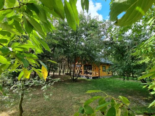 a house in the middle of a yard with trees at Domki Wzgórze Kamień in Józefów