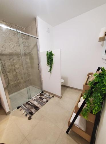 uma casa de banho com uma cabina de duche em vidro em Appartement T2 sur Mauguio avec grande terrasse em Mauguio