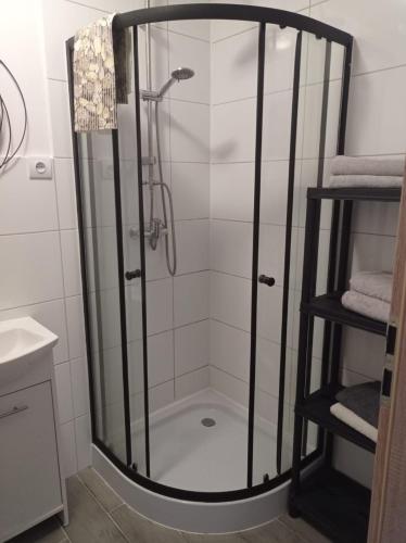 a shower with a glass door in a bathroom at Dom Mili in Henryków Lubański