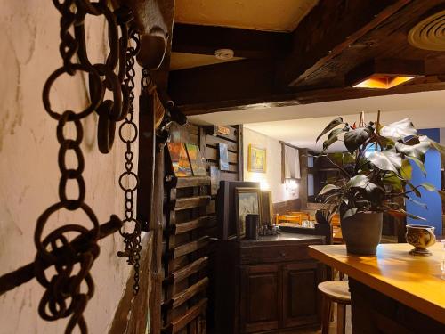 Kuchyň nebo kuchyňský kout v ubytování Hotel Gemmi