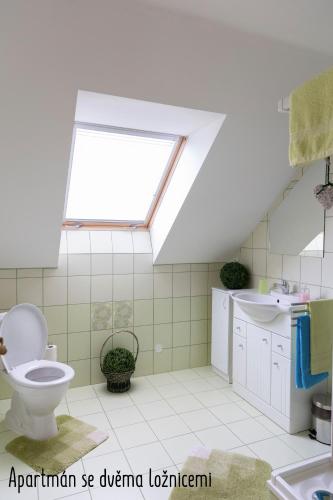 a bathroom with a skylight and a toilet and a sink at Výprachtice L.V. in Výprachtice