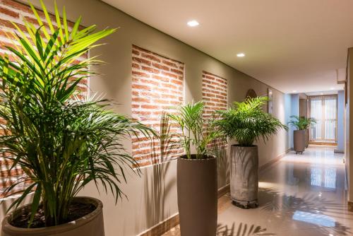 uma fila de vasos de plantas num corredor em Apartamentos casa Gimani em Cartagena das Índias
