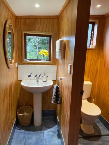 a bathroom with a sink and a toilet at Hopewell Lodge in Kenepuru Sounds