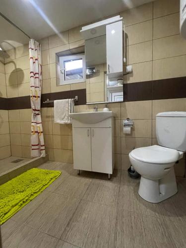 a bathroom with a toilet and a sink at Pro arte in Kladovo