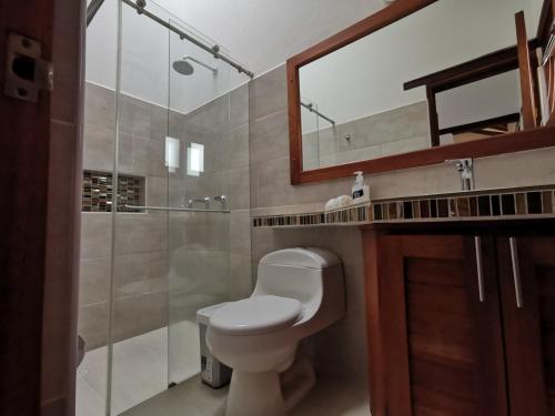 a bathroom with a toilet and a shower and a mirror at Casa ONCE ONCE in Villa de Leyva