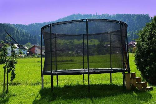 una jaula de bateo en medio de un campo en Ferienwohnung Himmelsbach, en Gengenbach