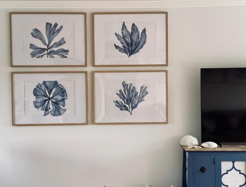 four framed drawings of leaves on a wall at Silver Beach Penthouse in Kurnell