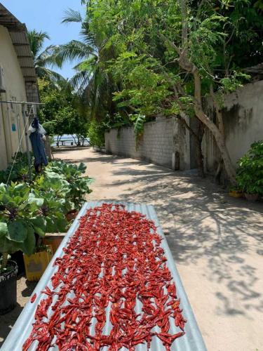 Giardino di La Isla Tropica