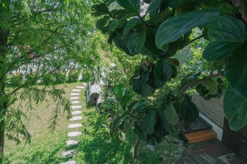 an overhead view of a garden with trees and a path at 檜木居民宿 - 立案證號 一六三 - 一六八 - 一七零 in Jian