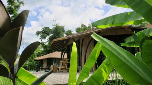 Zahrada ubytování Touch Beachfront Pool Villa Koh Yao Noi