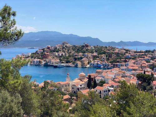 邁伊斯蒂的住宿－Stunning 4 bedroom villa on Kastellorizo，享有水面上的城镇景致