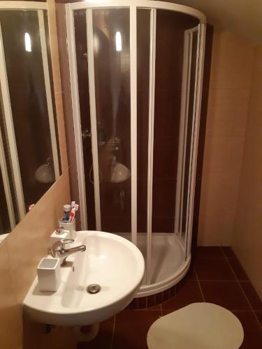 a bathroom with a white sink and a shower at Cihlarka 301 in Cerny Dul