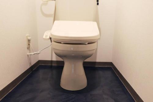 a bathroom with a white toilet in a stall at MolinHotels201温泉付き別荘 -アクティビティを満喫できる札幌定山渓-2LDK W-beds2&S-beds4 in Jozankei