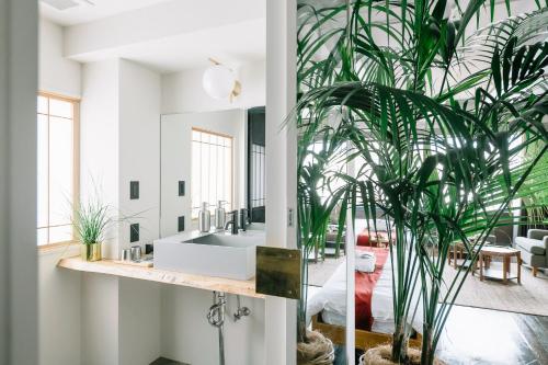 un bagno con lavandino e una grande pianta di HOTEL Inc a Kyoto