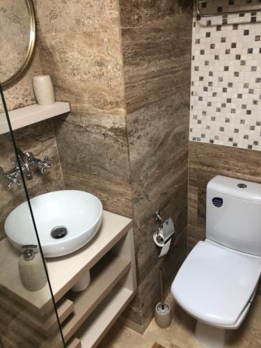 uma casa de banho com um WC e um lavatório em Family Home em Cheia