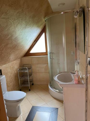 a bathroom with a toilet and a sink and a tub at Góralski Apartament in Witów