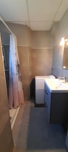 La petite salle de bains est pourvue d'un lavabo et d'une douche. dans l'établissement La Grangette du Mas, à Chassiers