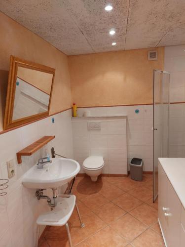 a bathroom with a sink and a toilet and a mirror at Fewo Leezdorf in Leezdorf
