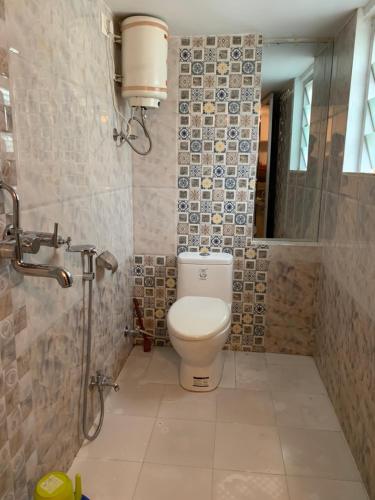 W łazience znajduje się toaleta, prysznic i lustro. w obiekcie Peacock Paying Guest House w mieście Udaipur