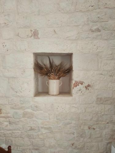 a plant in a white pot on a wall at I trulli di Nonno Battista in Locorotondo