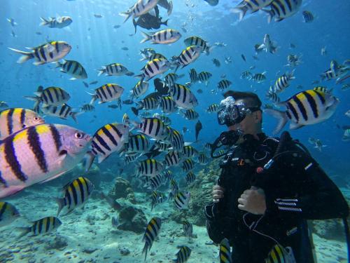 a diver in the ocean looking at a group of fish at 海島旅人 Diving Hostel in Green Island