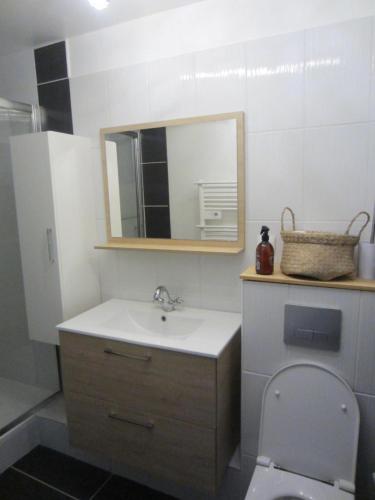 une salle de bain avec un lavabo et un miroir et des toilettes dans l'établissement DIEPPE, location Studio avec terrasse à 1 rue de la plage et1 Linge de maison fourni et lit fait, à Dieppe