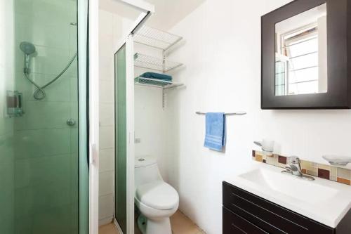 uma casa de banho com um WC, um lavatório e um chuveiro em Cozy & Full Apt in Coyoacan Great for Long Stays em Cidade do México