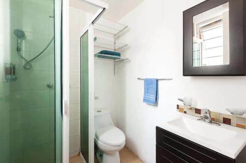 a bathroom with a toilet and a sink and a shower at Cozy & Full Apt in Coyoacan Great for Long Stays in Mexico City