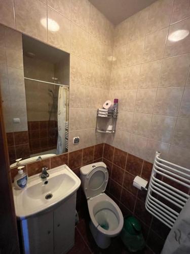 a bathroom with a sink and a toilet and a mirror at Agroturystyka Radzewicz in Wiżajny