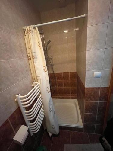 a shower with a shower curtain in a bathroom at Agroturystyka Radzewicz in Wiżajny