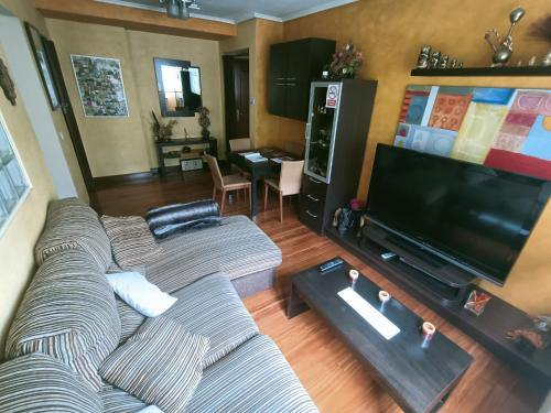 a living room with a couch and a flat screen tv at NALA HOUSE, acogedor,bien comunicado,aparcamiento gratis en la calle in Bilbao