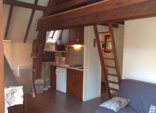 a small kitchen with a loft bed in a room at Chalet lac de Payolle in Ancizan