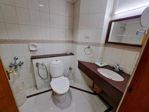 a bathroom with a toilet and a sink and a mirror at Hotel Preethi Classic Towers in Ooty