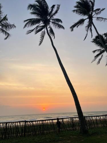 a man standing under a palm tree on the beach at sunset at Little Villa Hotel in Wadduwa