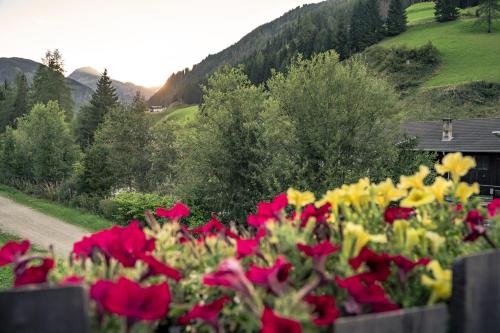 a bunch of flowers in a garden at Ferienwohnungen Bundschuh in Sankt Jakob in Defereggen