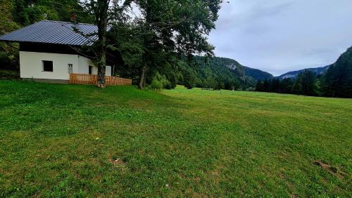 Gallery image of Radovna Mountain Valley Cottage in Zgornje Gorje