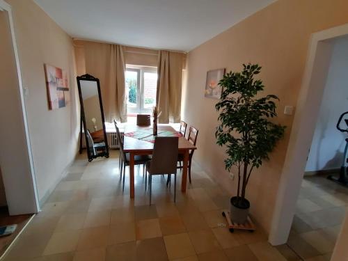 a dining room with a table and a potted plant at La Stella in Süßen
