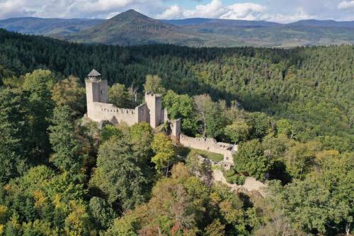 an old castle in the middle of a forest at Le p'tit coin de chez nous in Dambach-la-Ville